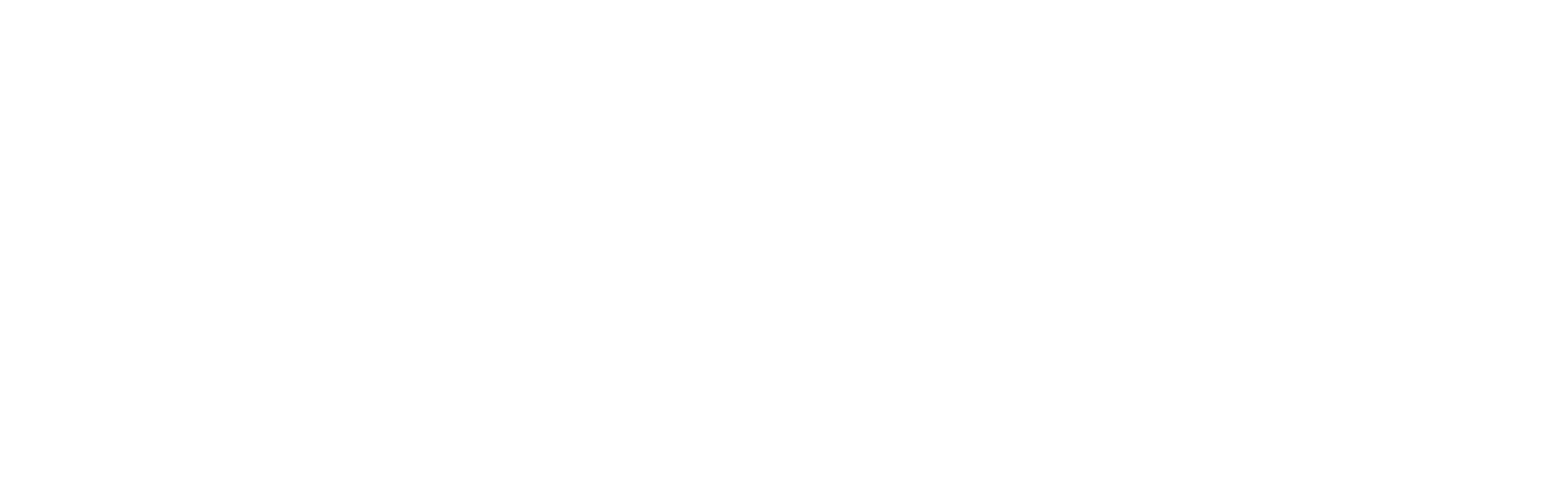 Synoligo Logo
